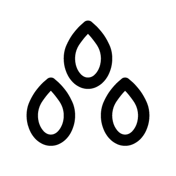 Sésamo